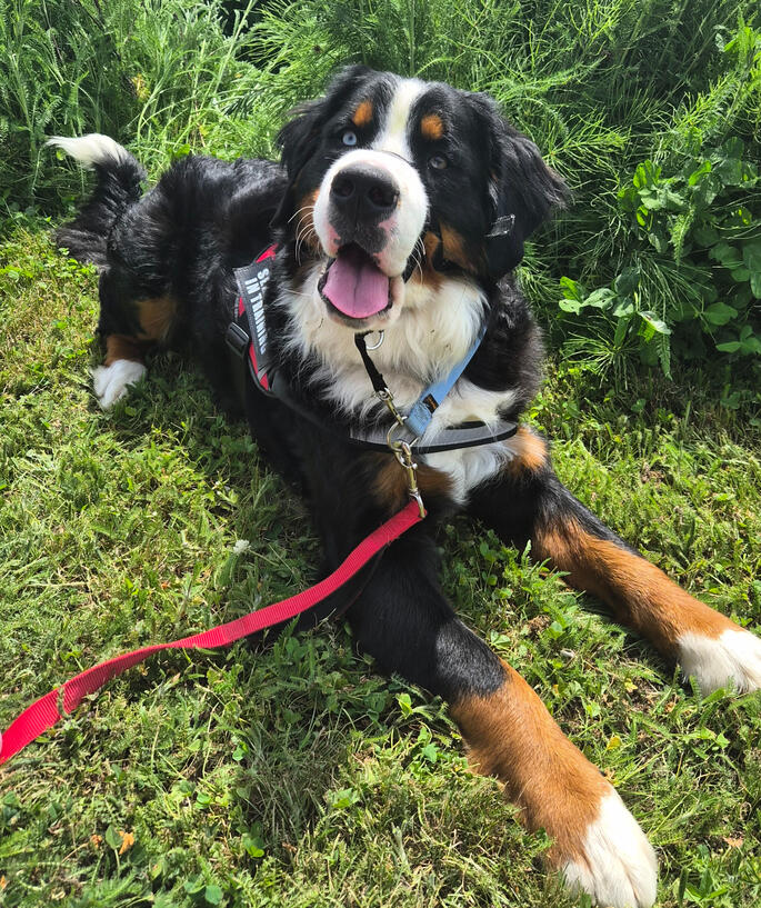 Zeke