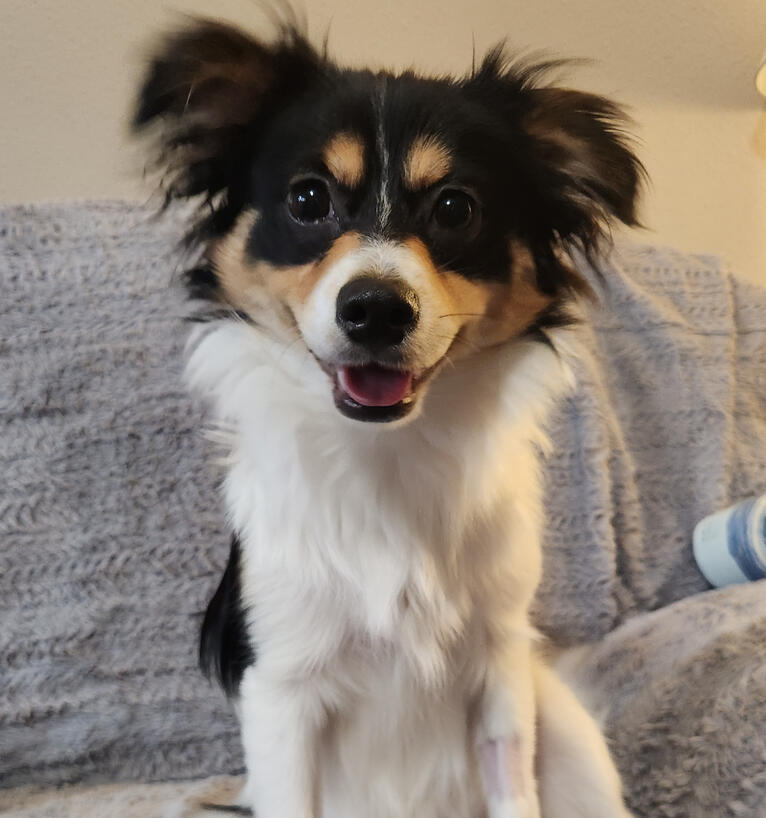 Max