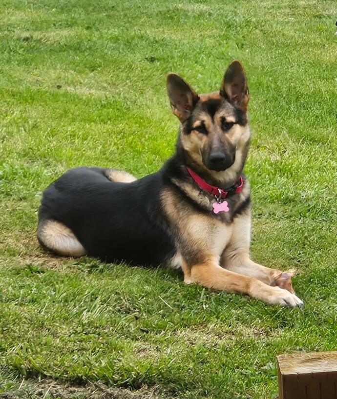 Luna